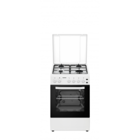 ARAGAZ GAZ HEINNER HFSC-S50LITGWH