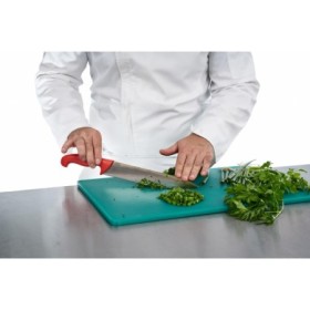 TOCATOR HACCP GN1/1, 53x32.5x2 CM, VERDE, CHEF LINE , COOKING BY HEINNER