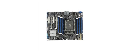 Placi de baza server